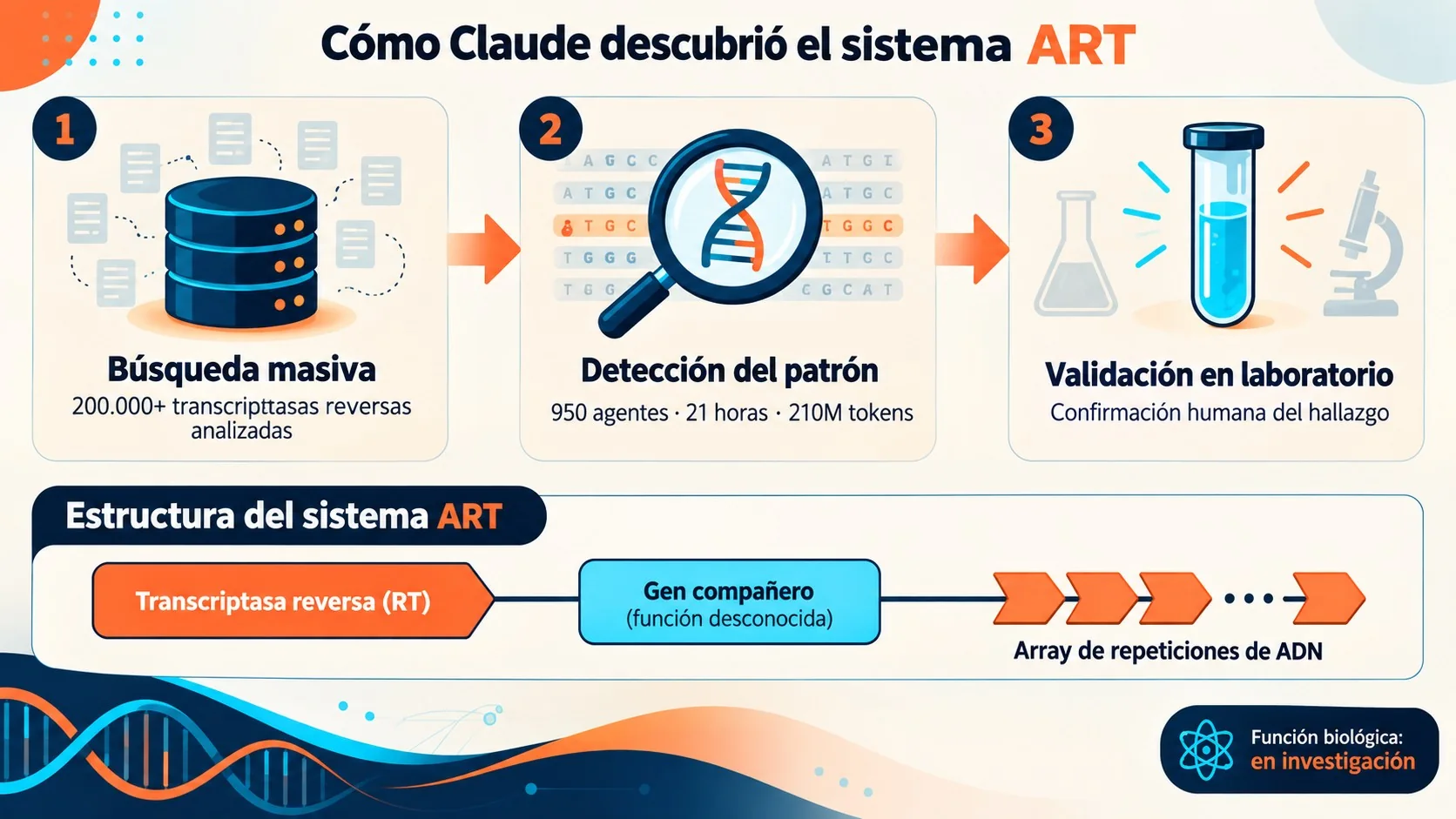 claude descubre enzima crispr diagrama explicativo